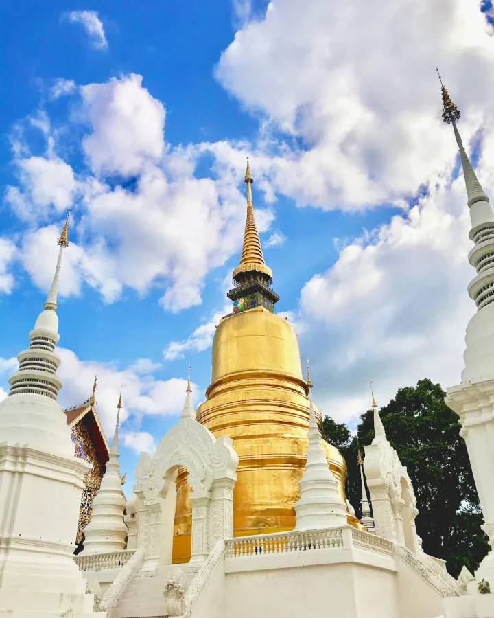 Wat suan dok i chiang mai