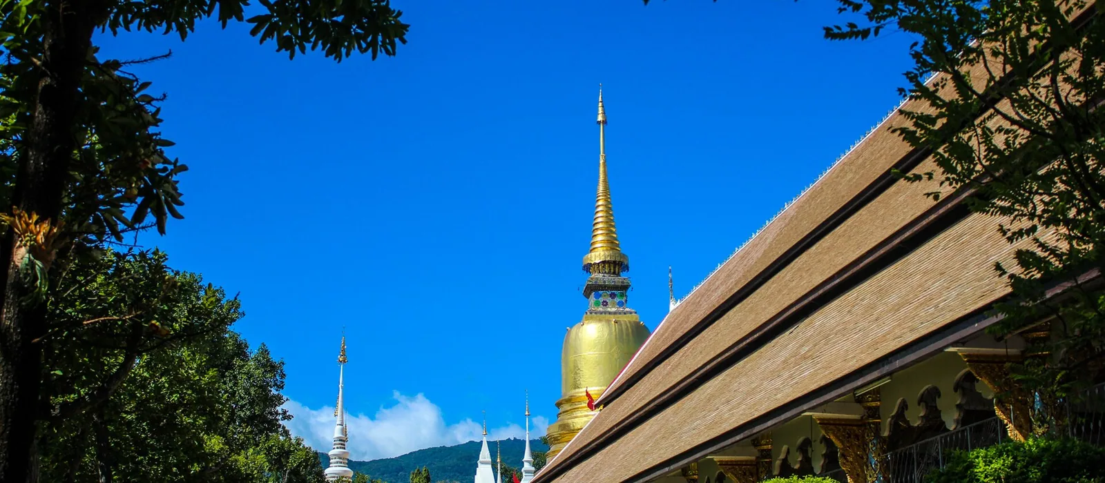 Wat Suan Dok i Chiang Mai